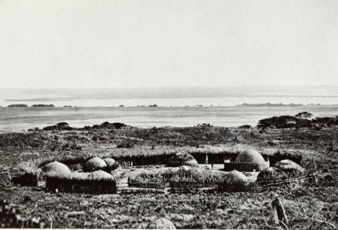 Shumi Ley’nkezo Ngubane. tweet media