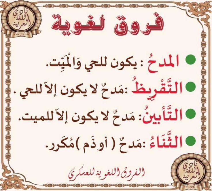 المصحح الإملائي | أحمد المدخلي tweet media