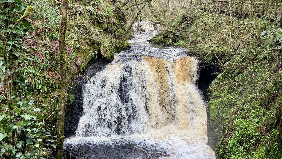 Love Ballymena tweet media