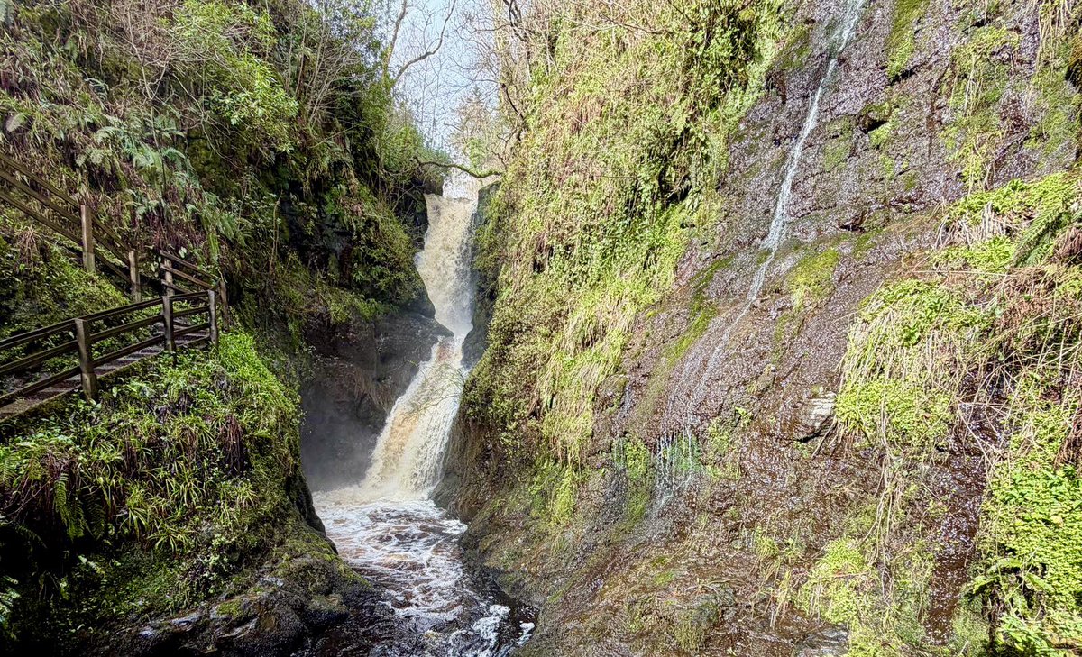 Love Ballymena tweet media