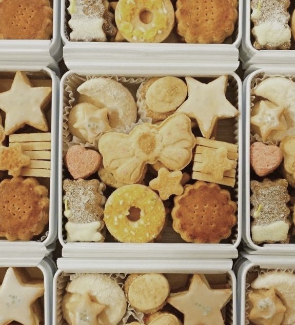 イノウエ エリコ｜3/29春花ミモザ展 tweet media