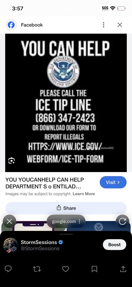 StormSessions tweet media