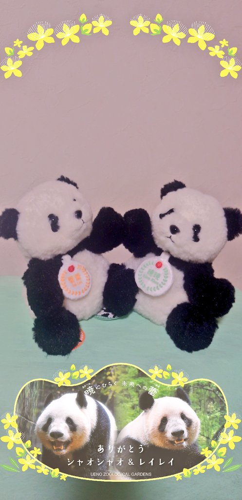 ちゃた tweet media