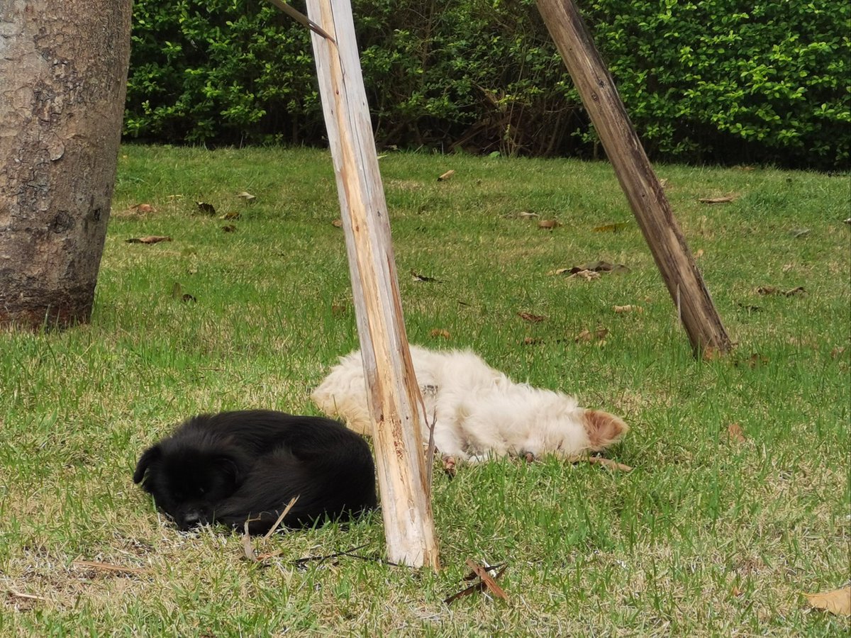 Ben Malher tweet media