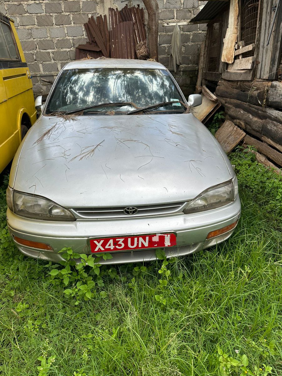 Fisiotherapist 🇰🇪 tweet media