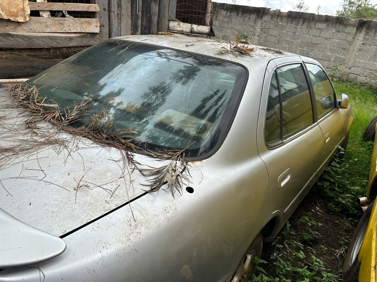 Fisiotherapist 🇰🇪 tweet media