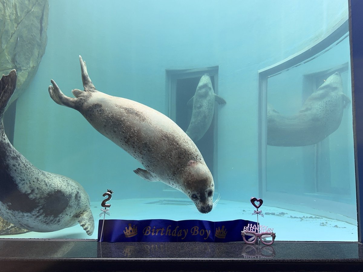 bui🐈🦭 tweet media