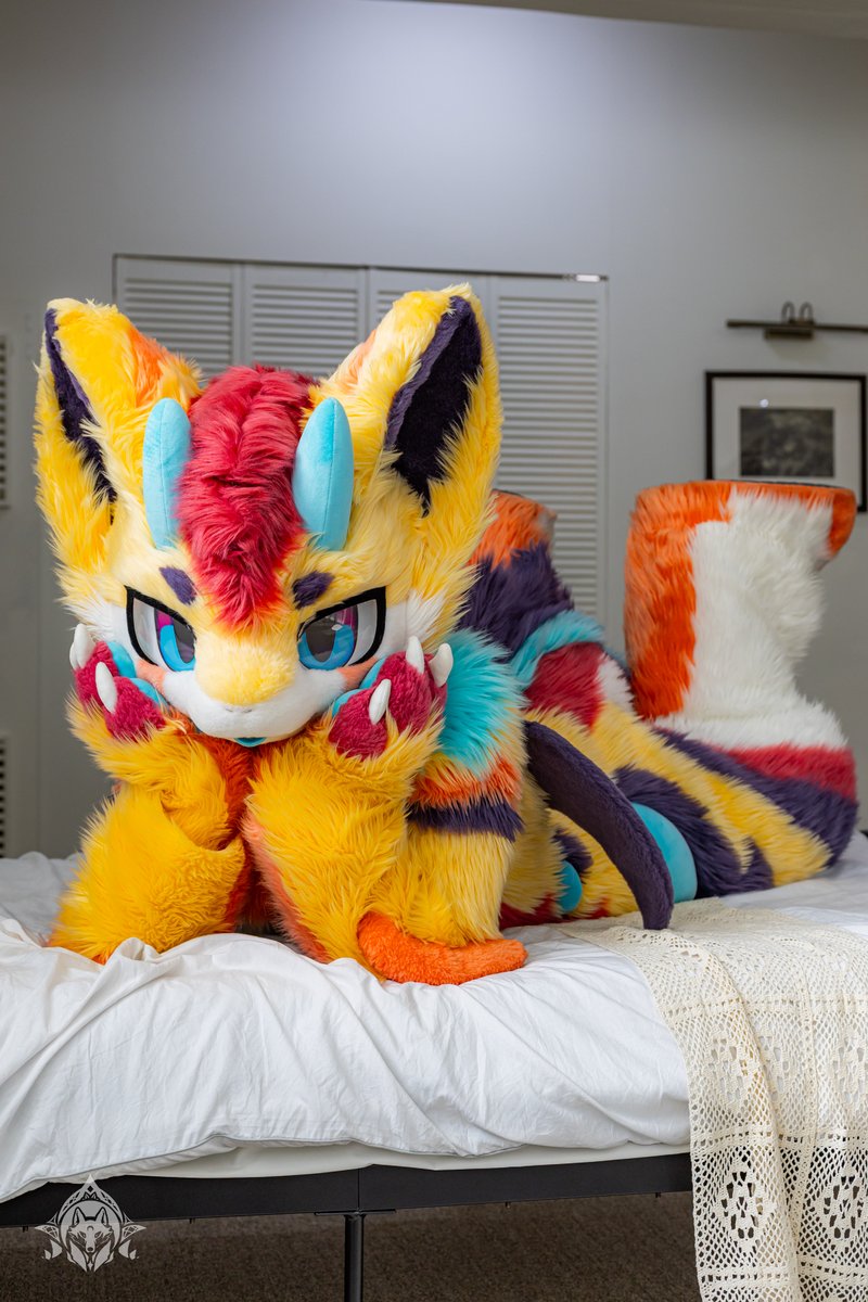 🌟Spectrum 🔜Furstclass tweet media