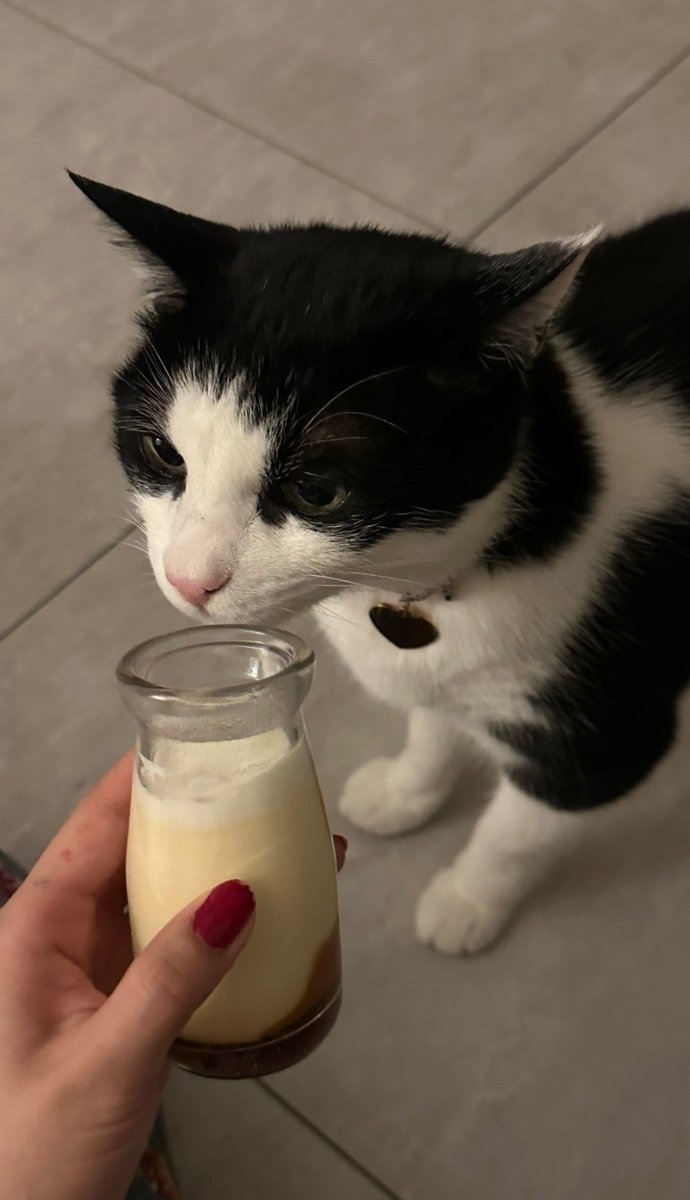 WHEEIN NATION tweet media