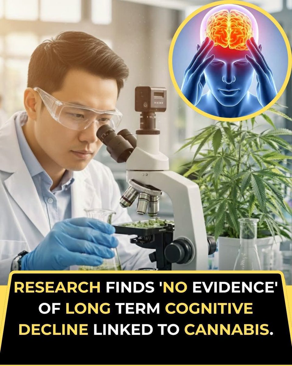 S. W. N. tweet media