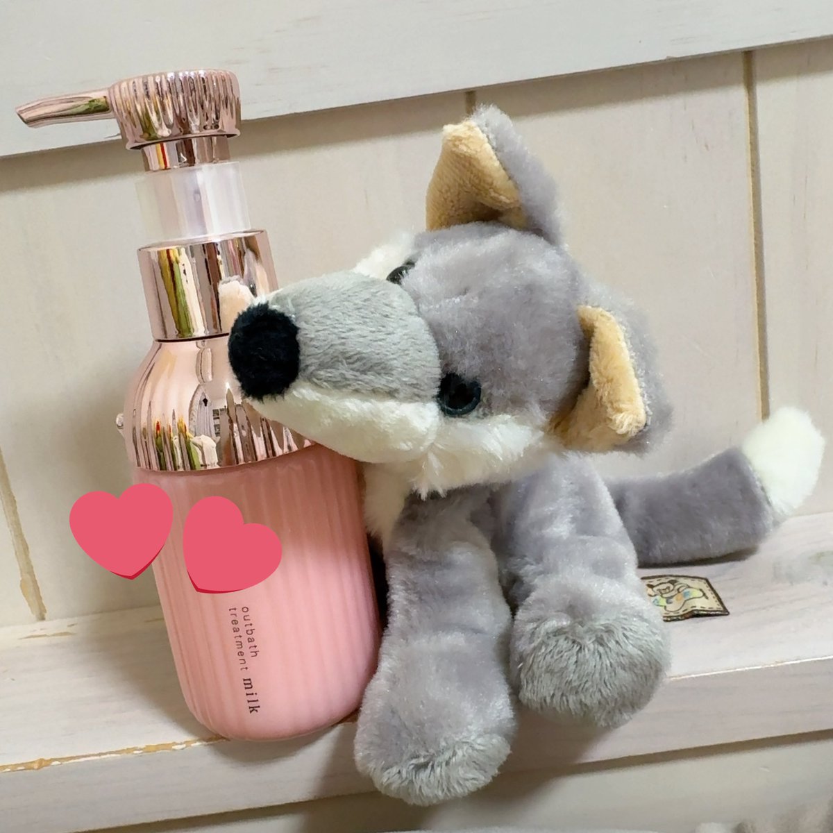 🐺みる🍄【はらぺこっ】 tweet media