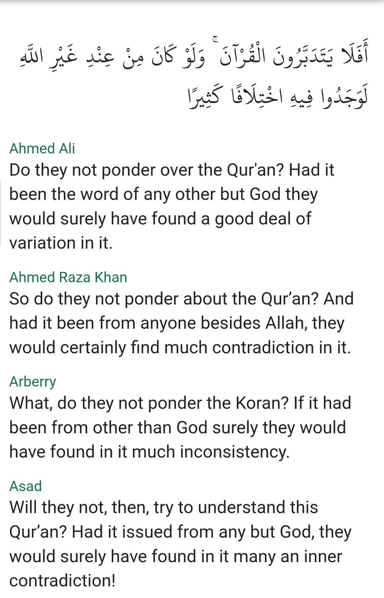 Rosebuddy tweet media