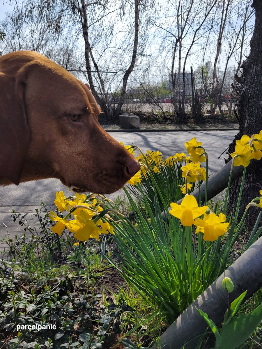 parcelpanic 🖤 tweet media