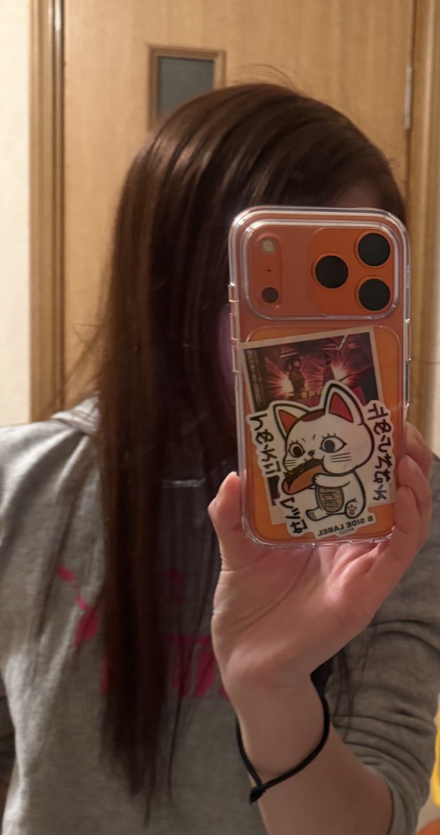 'nWo'こけちゃ tweet media