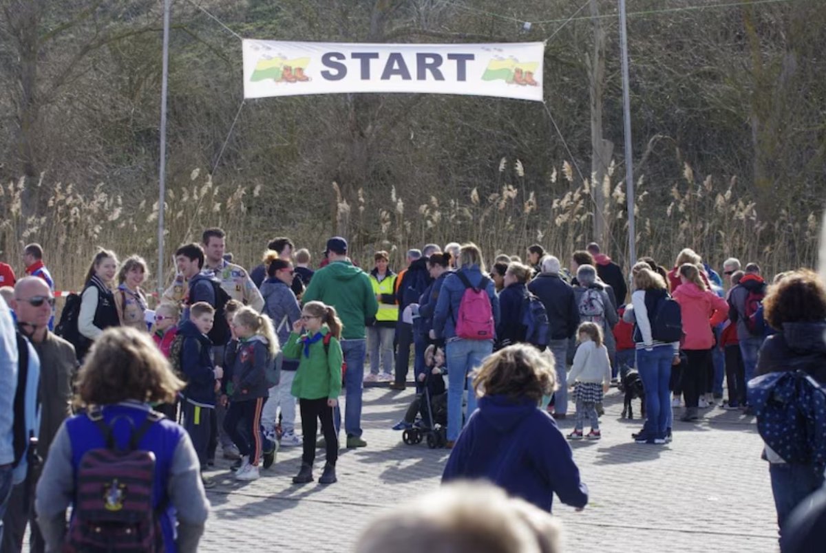 Scheveningen Daily tweet media