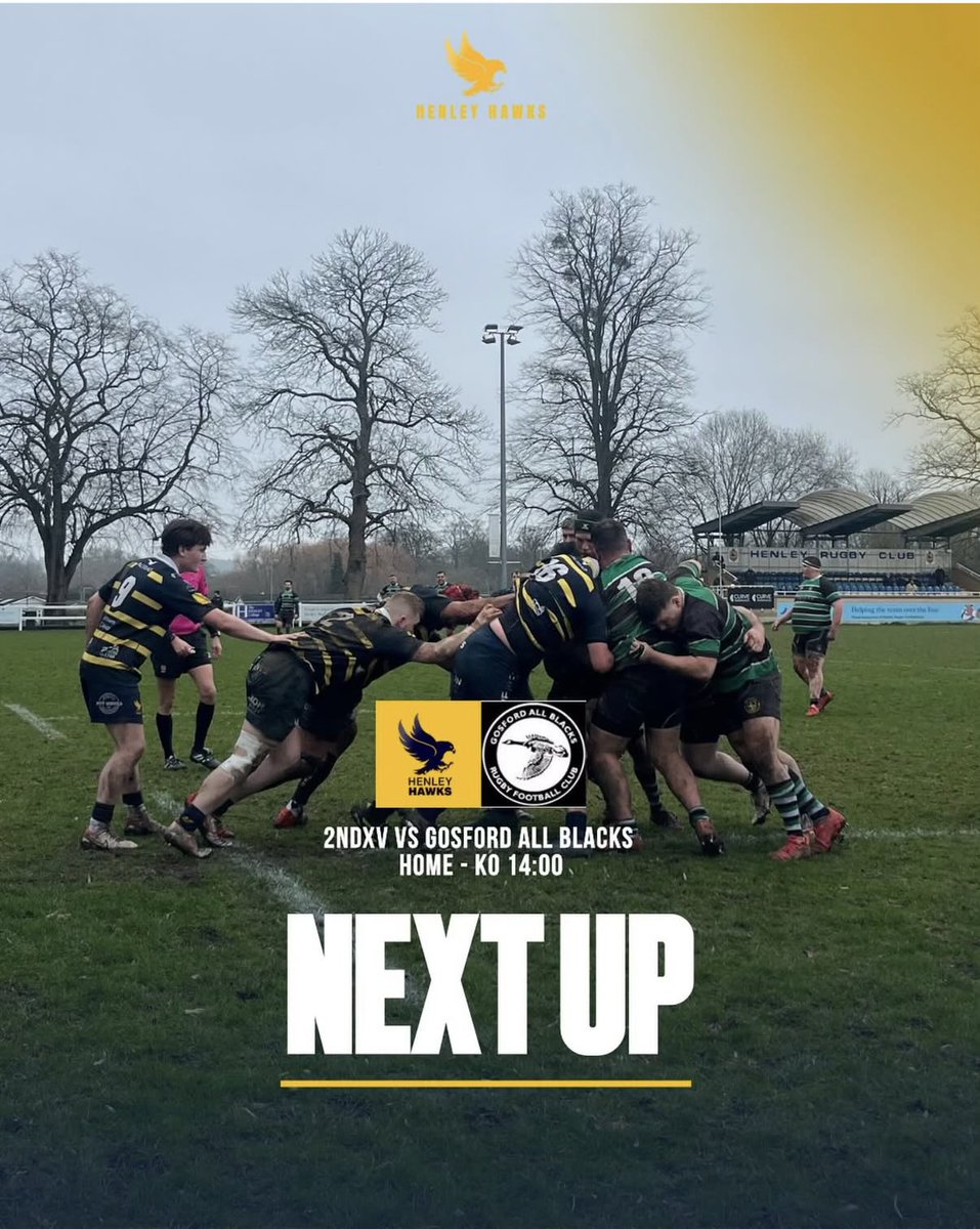 Henley Hawks Rugby tweet media