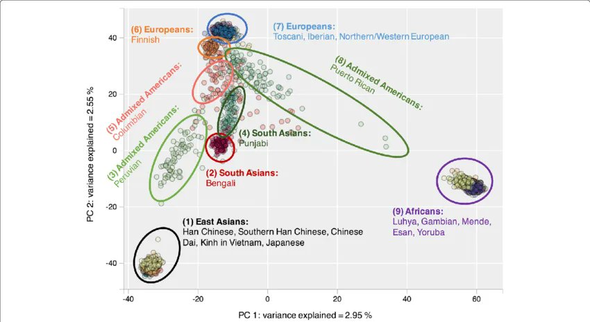 Erik Haalo tweet media