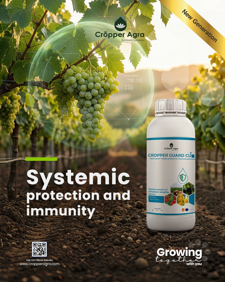 Cropper_Agra's tweet photo. 🌿Boost your crop’s power from root to fruit with Cropper Guard Cu!  

#cropperagra #CropPerformance #PhosphitePower #CopperDefense  #OomyceteControl #HealthyRoots https://t.co/8fe5LBHzxk