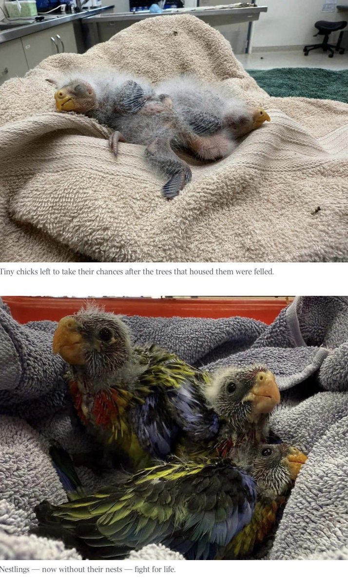 Kate🦋M© tweet media