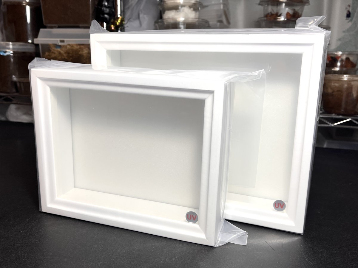 わたくわ tweet media