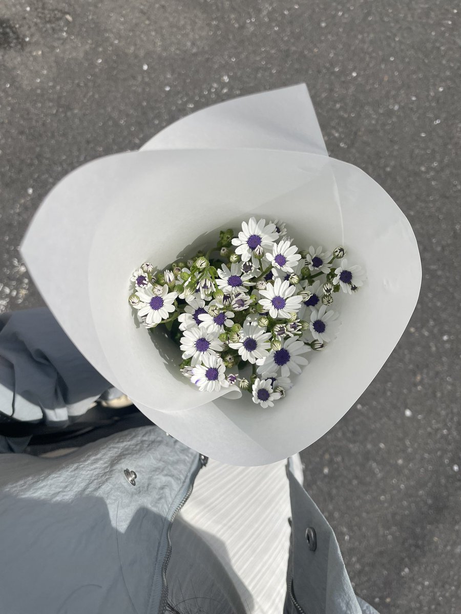 ๐บ๐ถ๐ฌ๐ช๐ฏ๐ข ๊ง๊ง๐๐๐๐๐๐๐๐ ๐ tweet media