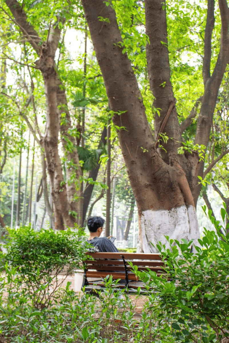 David Oppenheim tweet media