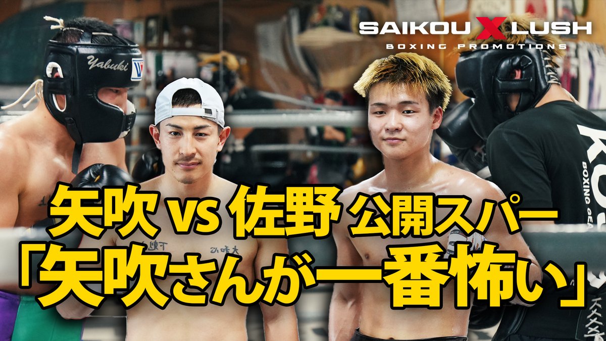 SAIKOULUSH公式 tweet media