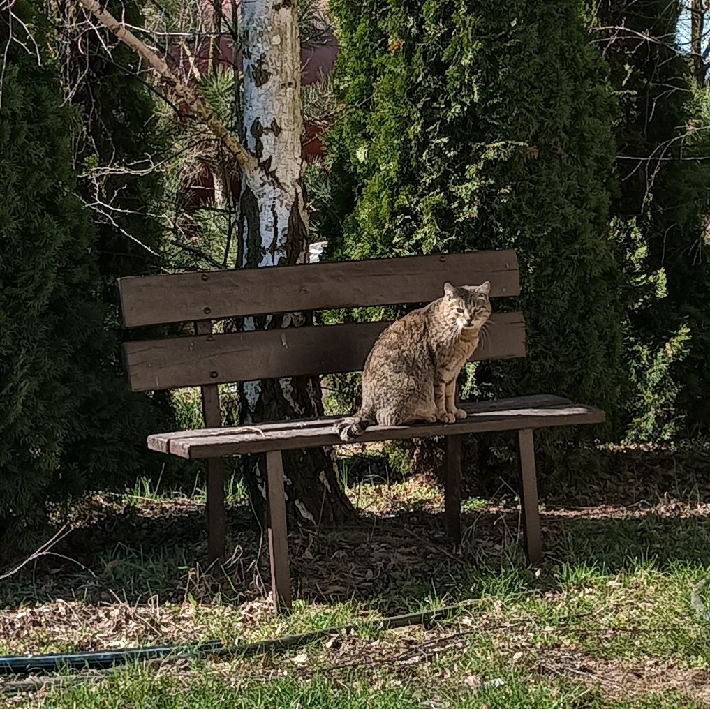 michał 🎶 tweet media