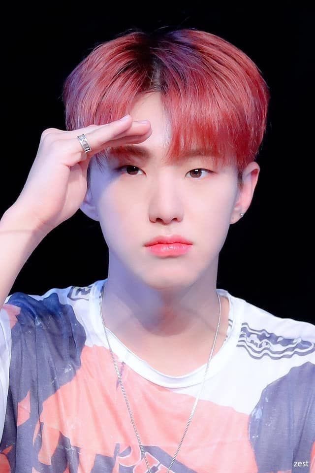 뉴april tweet media