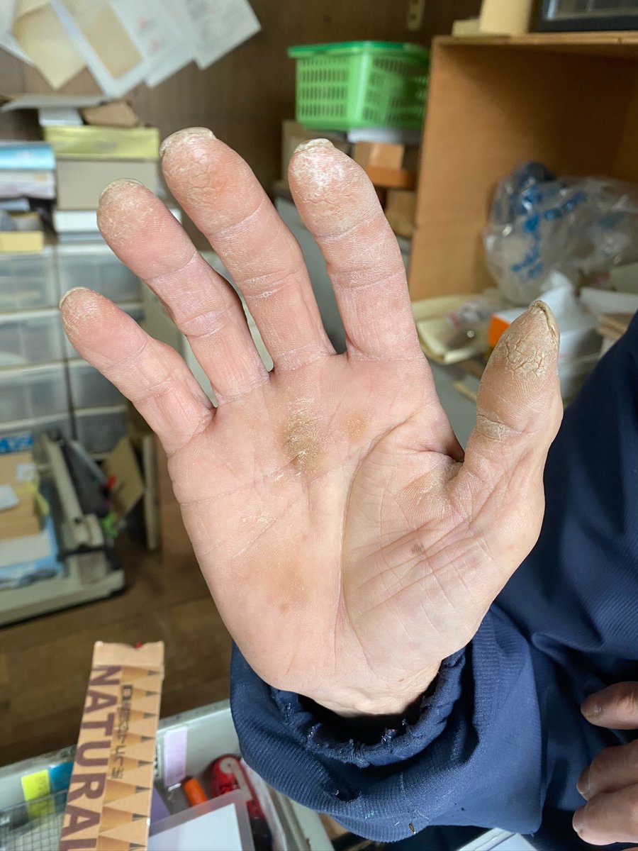 さわたく工房🌳 tweet media