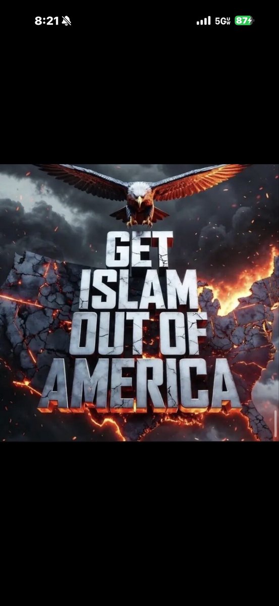 Primrose tweet media