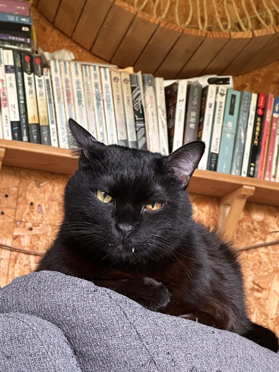 嗶啵子 tweet media