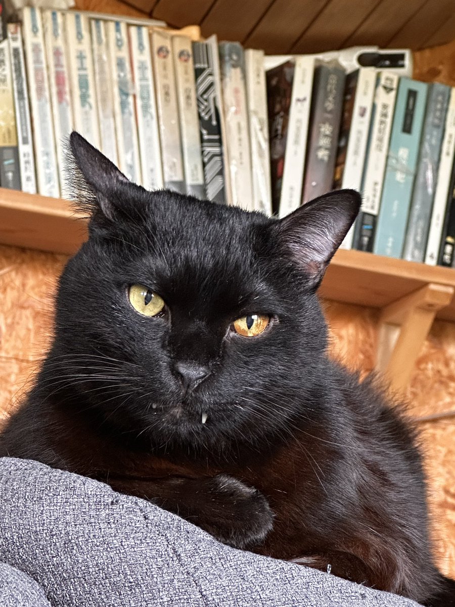 嗶啵子 tweet media