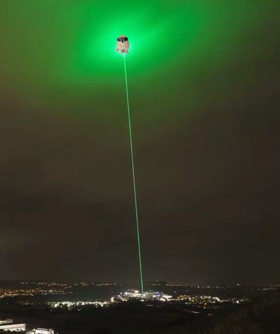 Bulls United tweet media