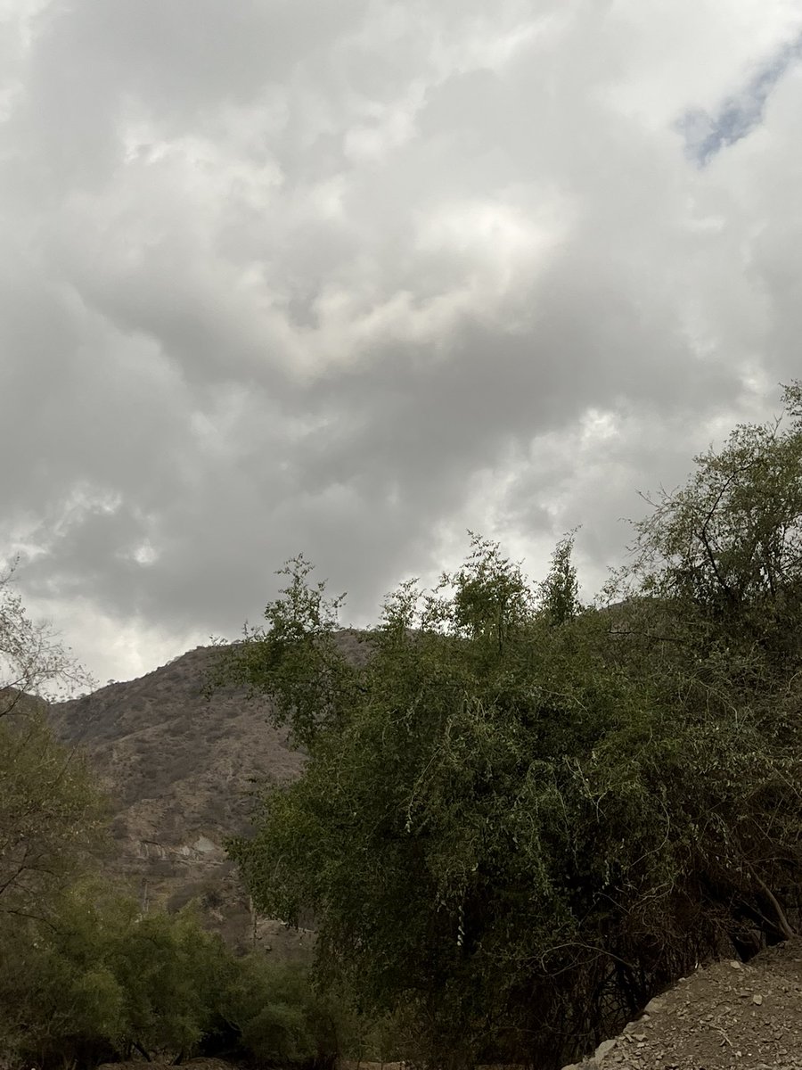 نوف العسيري tweet media