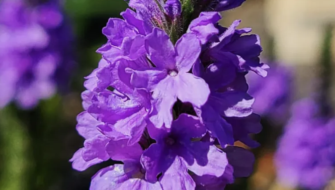 kevin m🩸rek tweet media