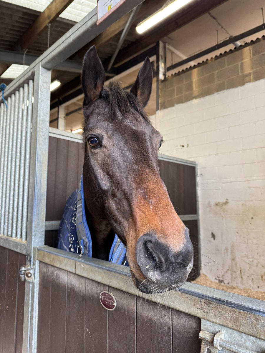 Fergal O'Brien Racing tweet media