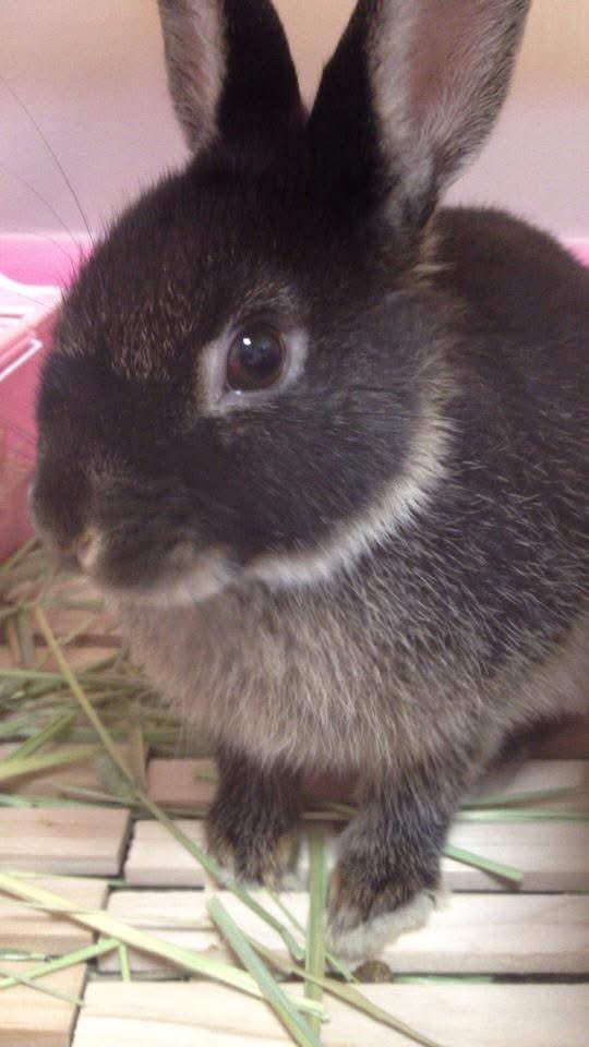 ほほえみり tweet media