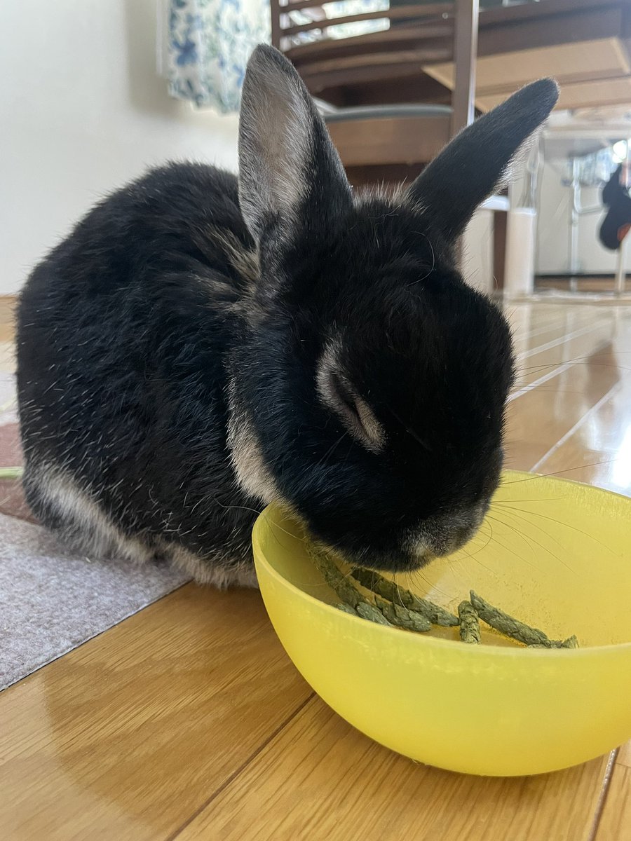 ほほえみり tweet media