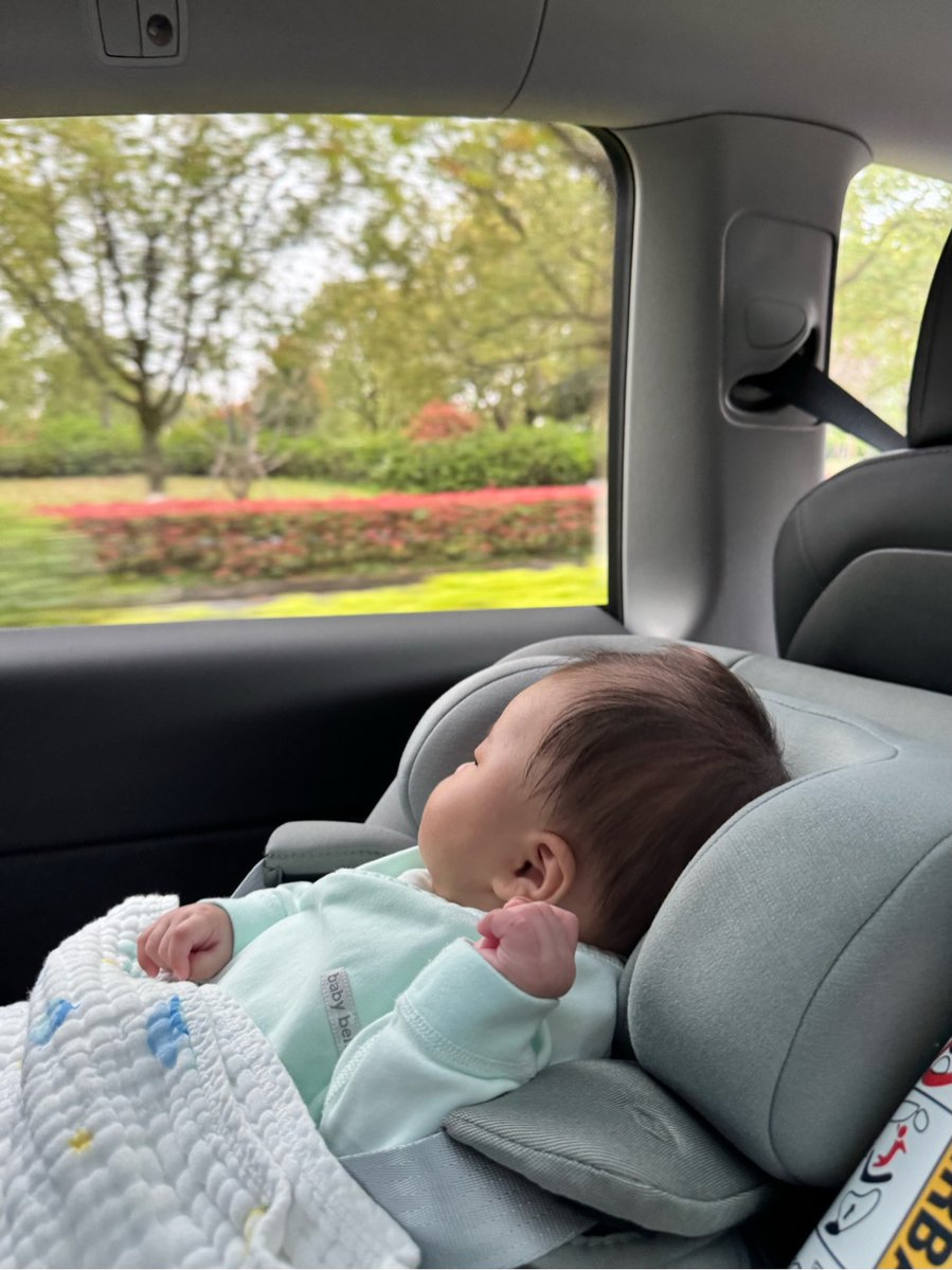 图拉鼎 tweet media