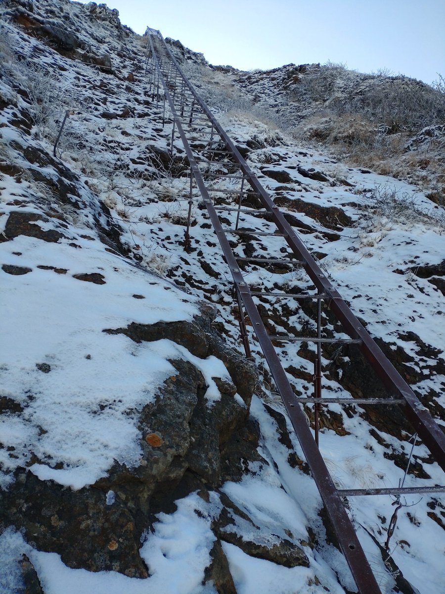 stand-blue tweet media