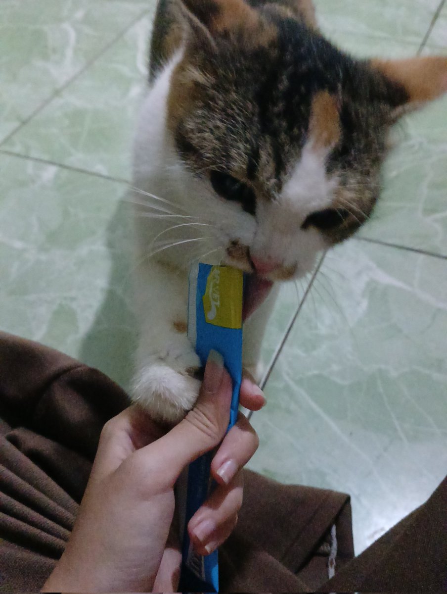 calv🌙 – kinda ia tweet media