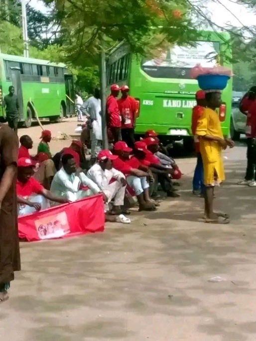 SADIQ_MADU tweet media