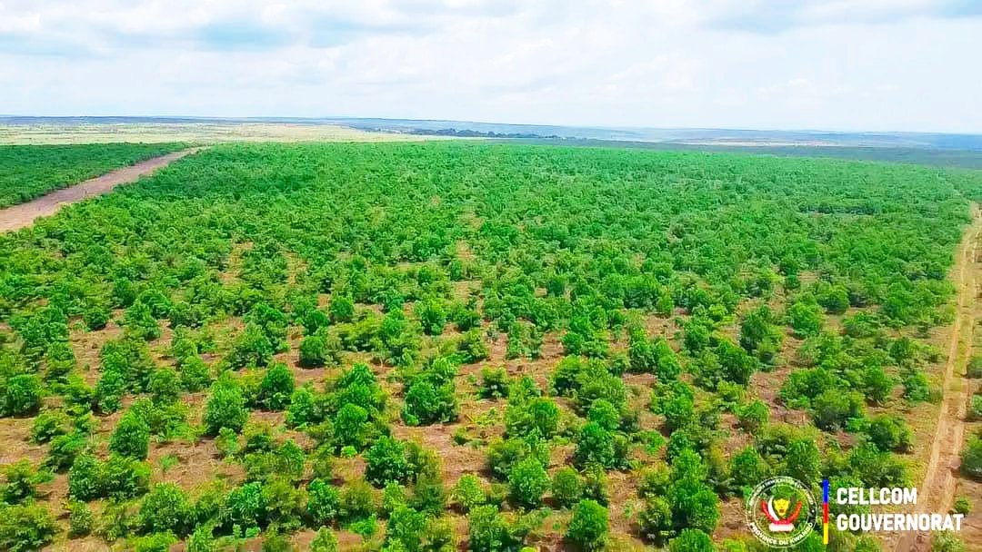 Anapex RDC tweet media