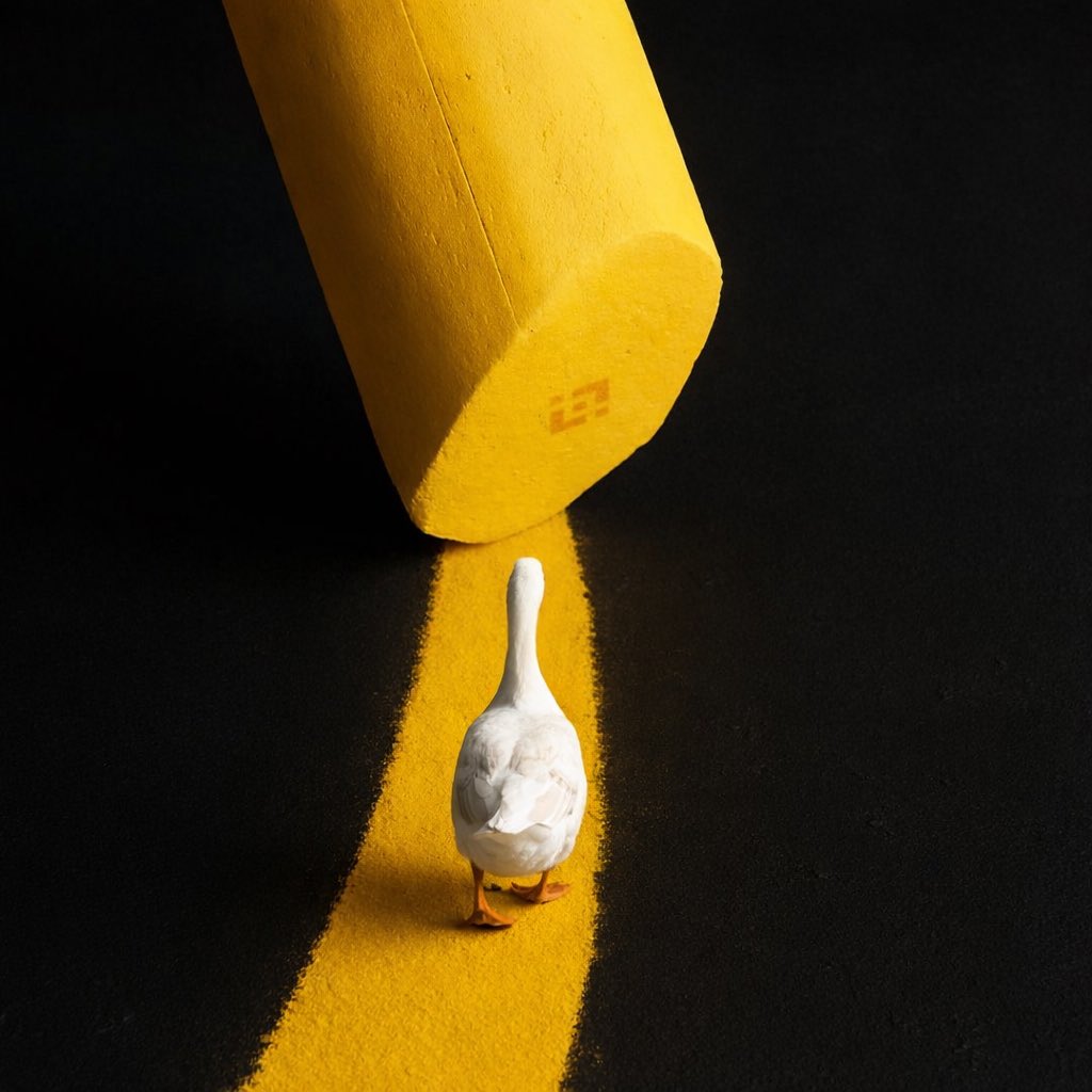 Honk🔪 tweet media