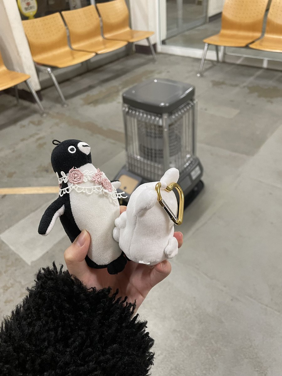 旅するペン次郎 tweet media