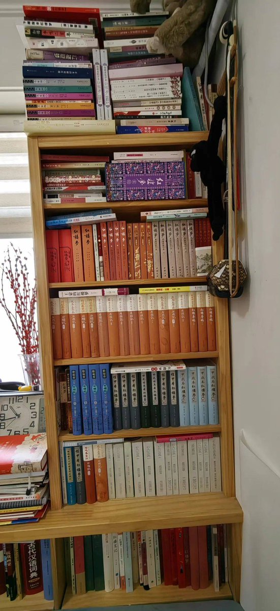 Rebeca DIVA *-* tweet media