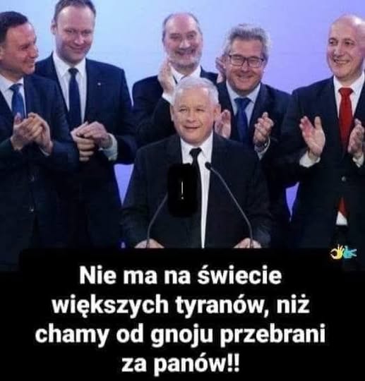 PiS = MAFIA tweet media