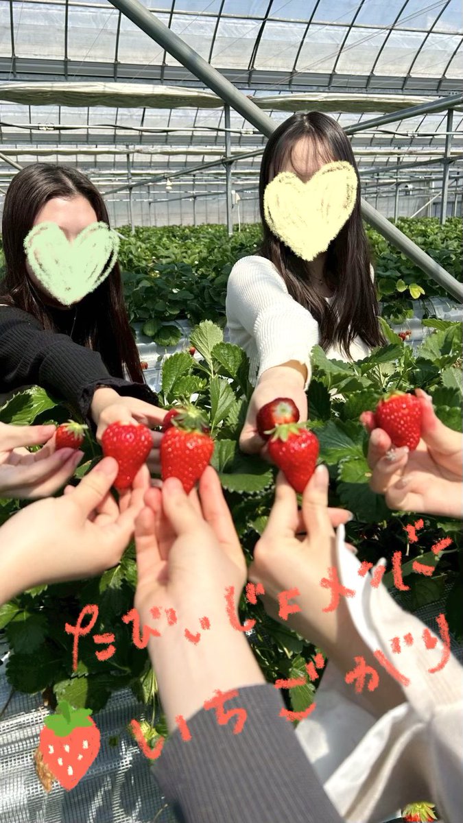 学生団体mof.｜女子ひとり旅フリーペーパー『たびぃじょ』 tweet media