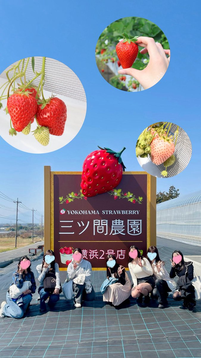 学生団体mof.｜女子ひとり旅フリーペーパー『たびぃじょ』 tweet media